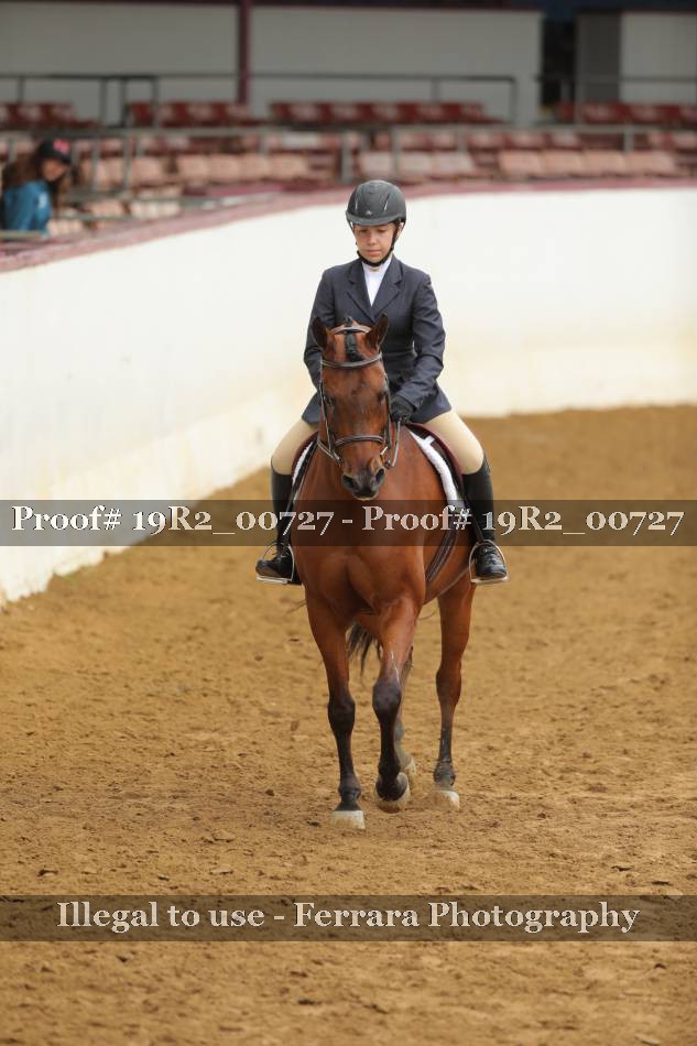 Proof 19R2_00727