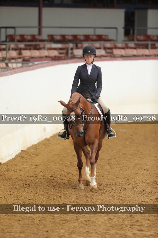 Proof 19R2_00728