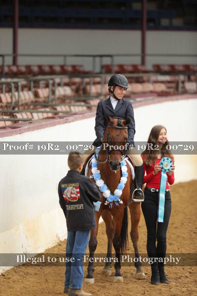 Proof 19R2_00729