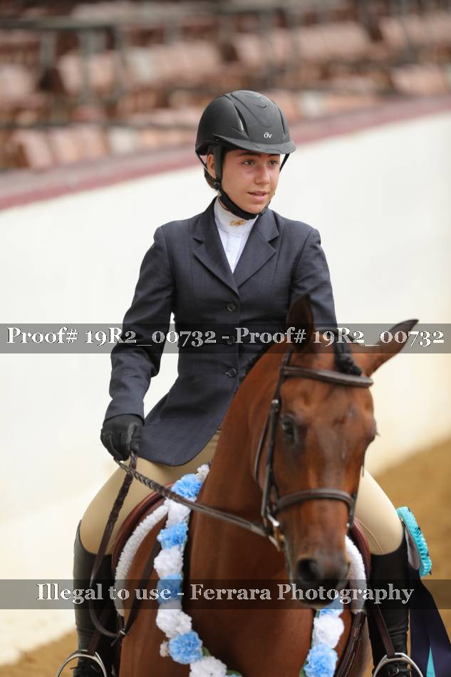 Proof 19R2_00732