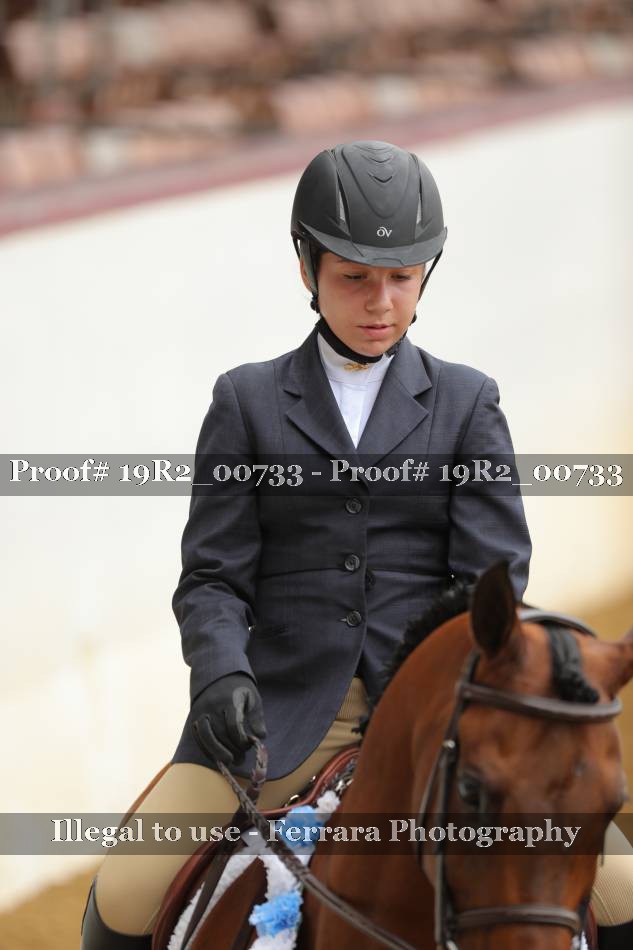 Proof 19R2_00733