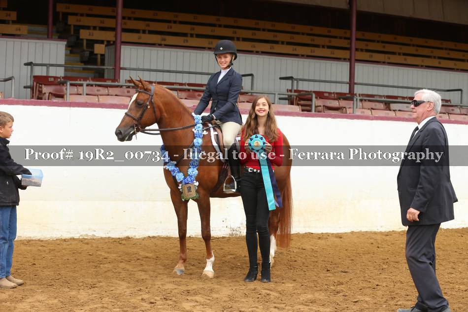 Proof 19R2_00734