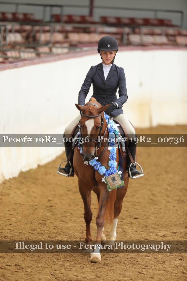 Proof 19R2_00736