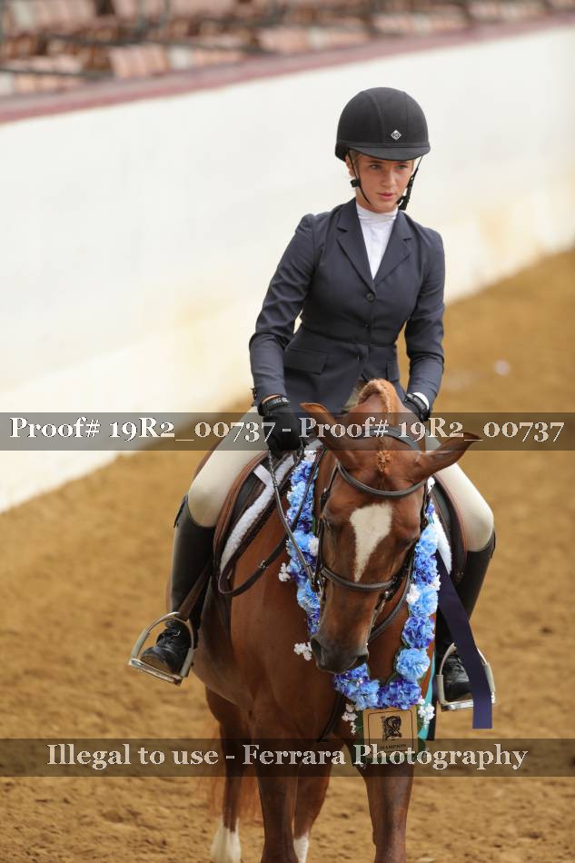 Proof 19R2_00737