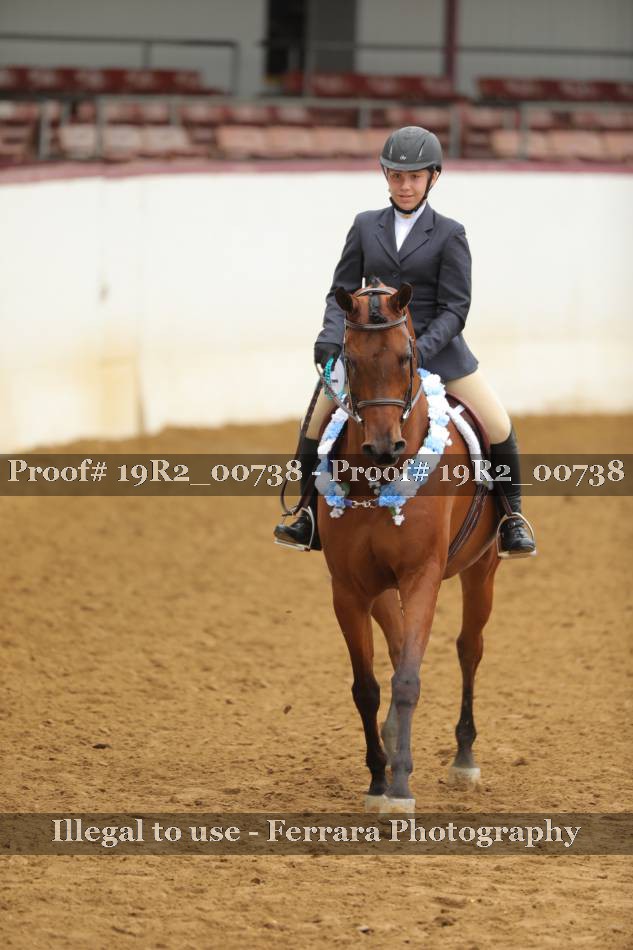 Proof 19R2_00738