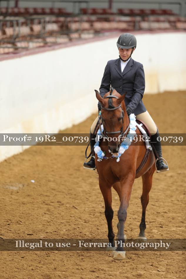 Proof 19R2_00739