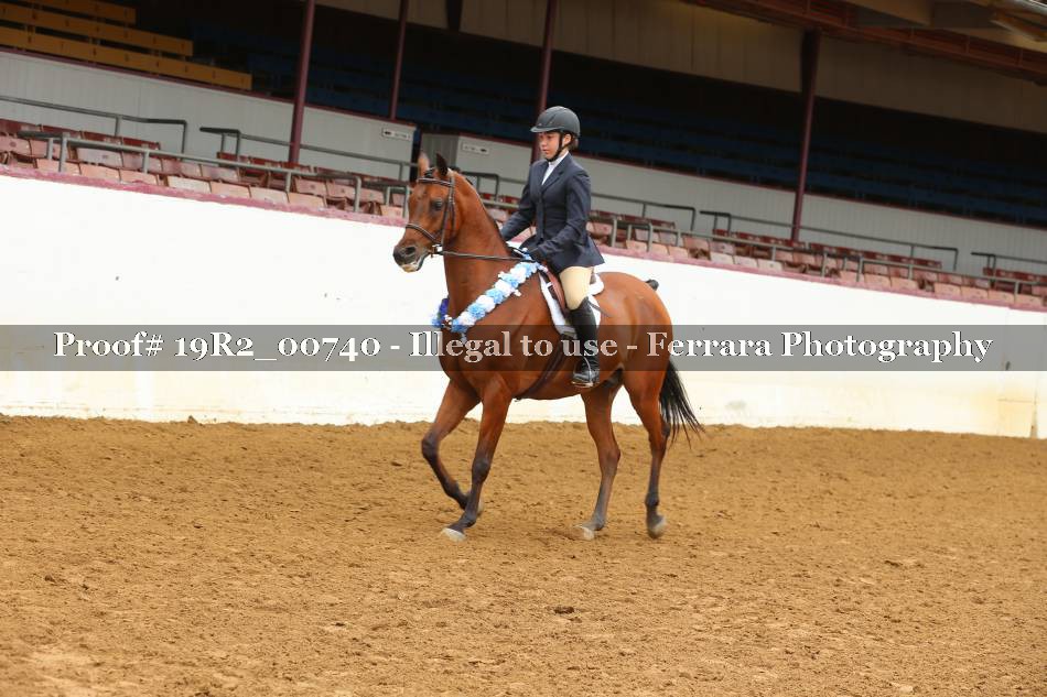 Proof 19R2_00740