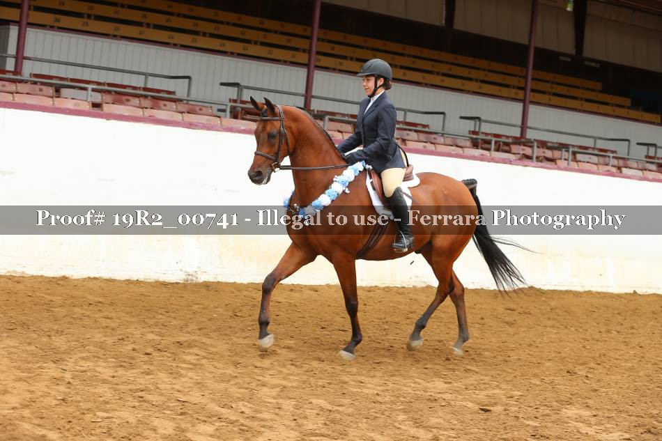 Proof 19R2_00741