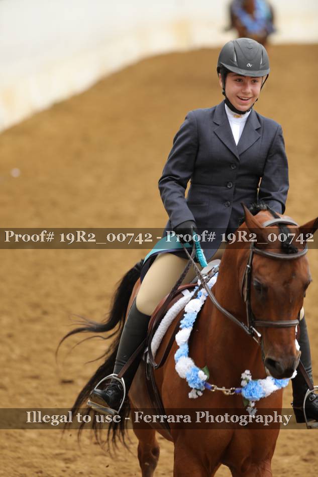 Proof 19R2_00742