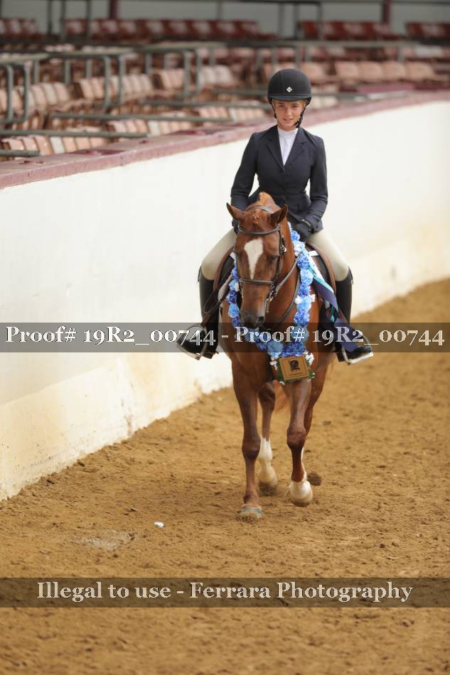 Proof 19R2_00744