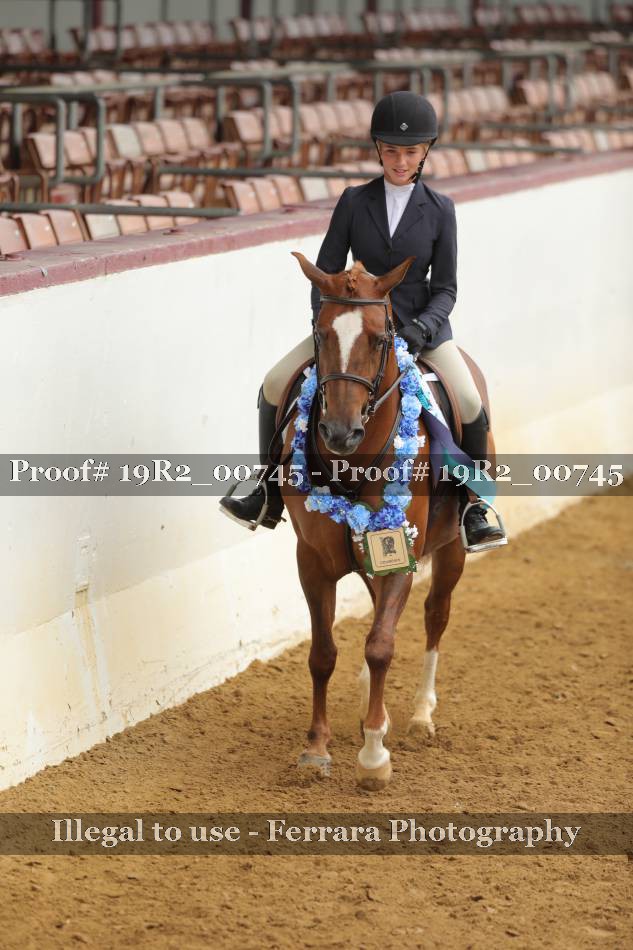 Proof 19R2_00745