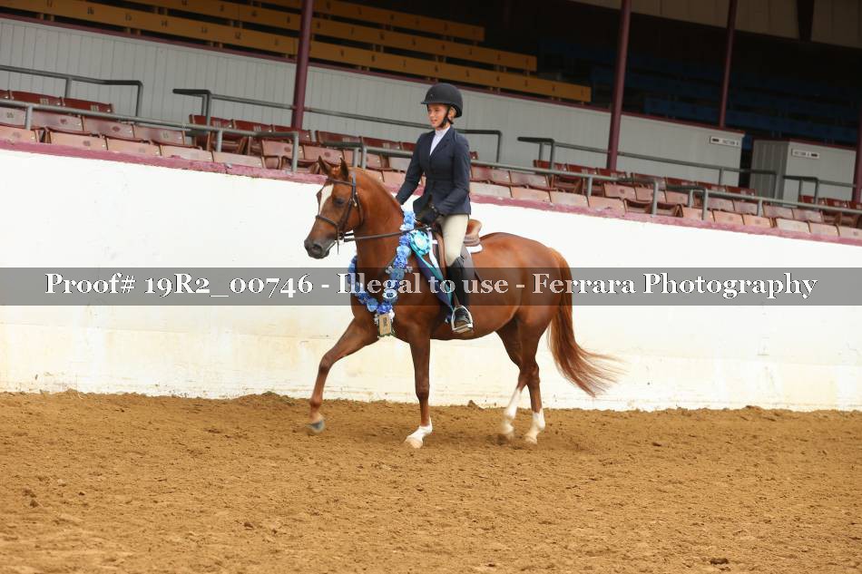 Proof 19R2_00746