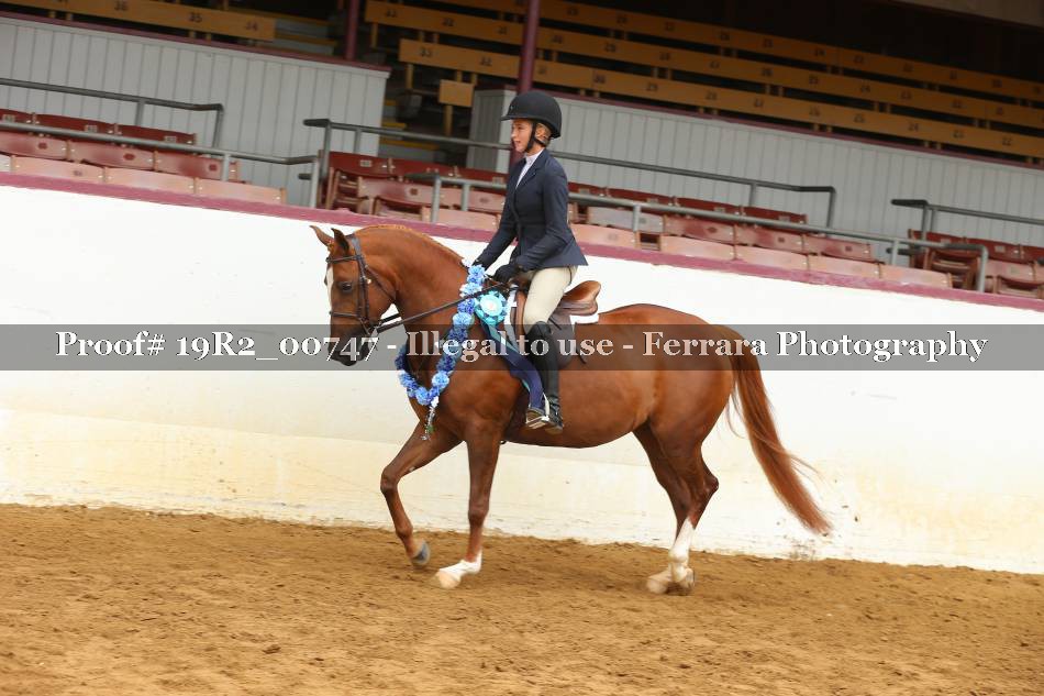 Proof 19R2_00747
