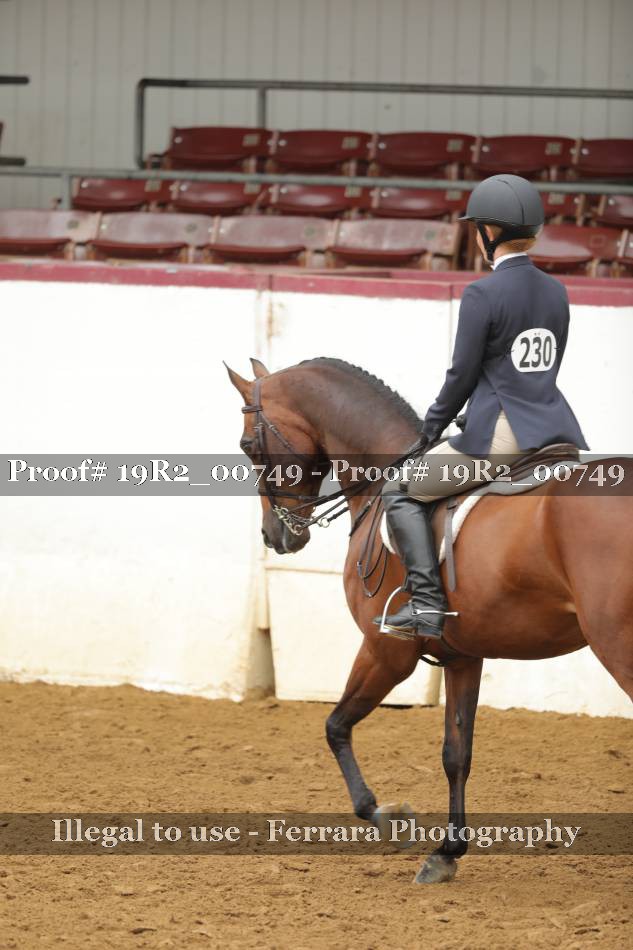 Proof 19R2_00749