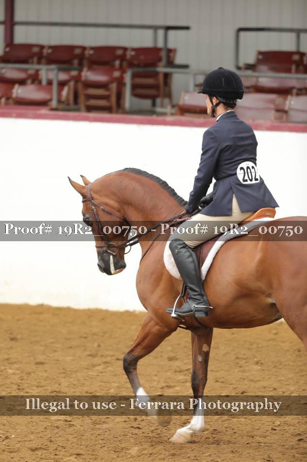 Proof 19R2_00750