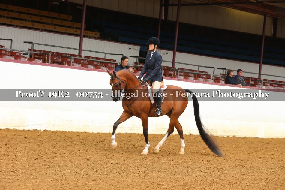 Proof 19R2_00753