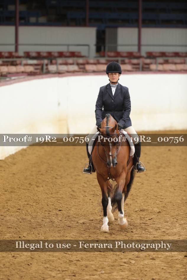 Proof 19R2_00756