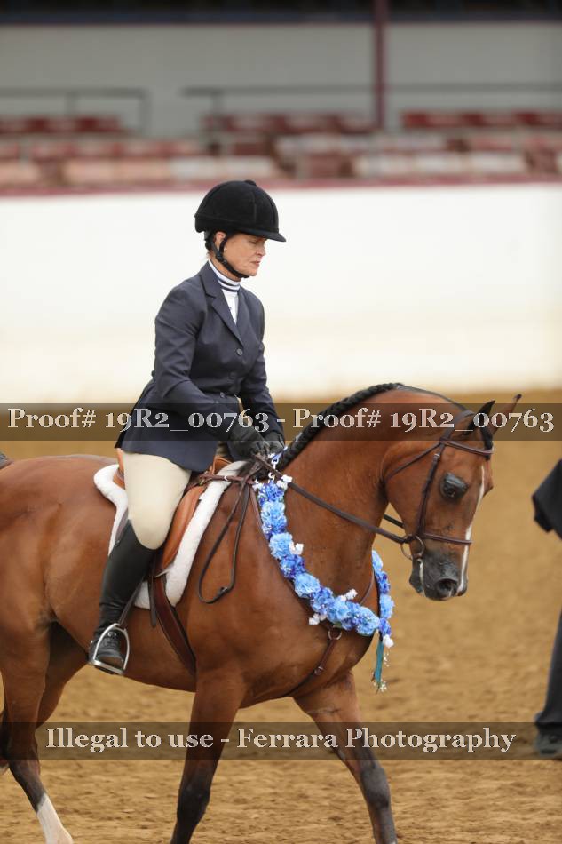 Proof 19R2_00763