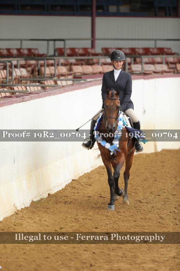 Proof 19R2_00764