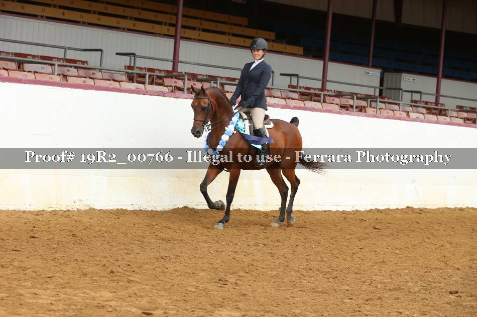 Proof 19R2_00766