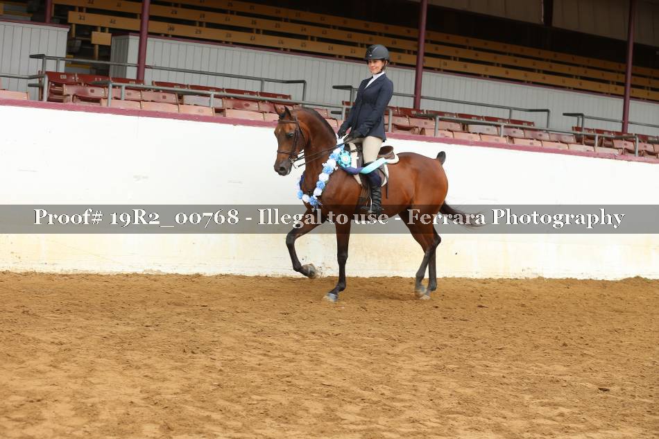 Proof 19R2_00768
