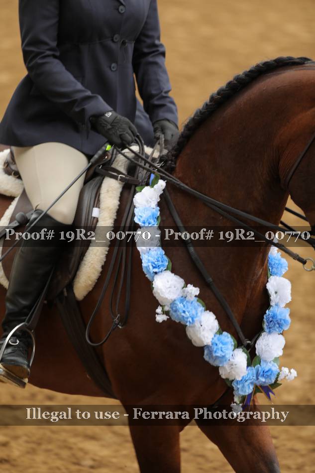 Proof 19R2_00770