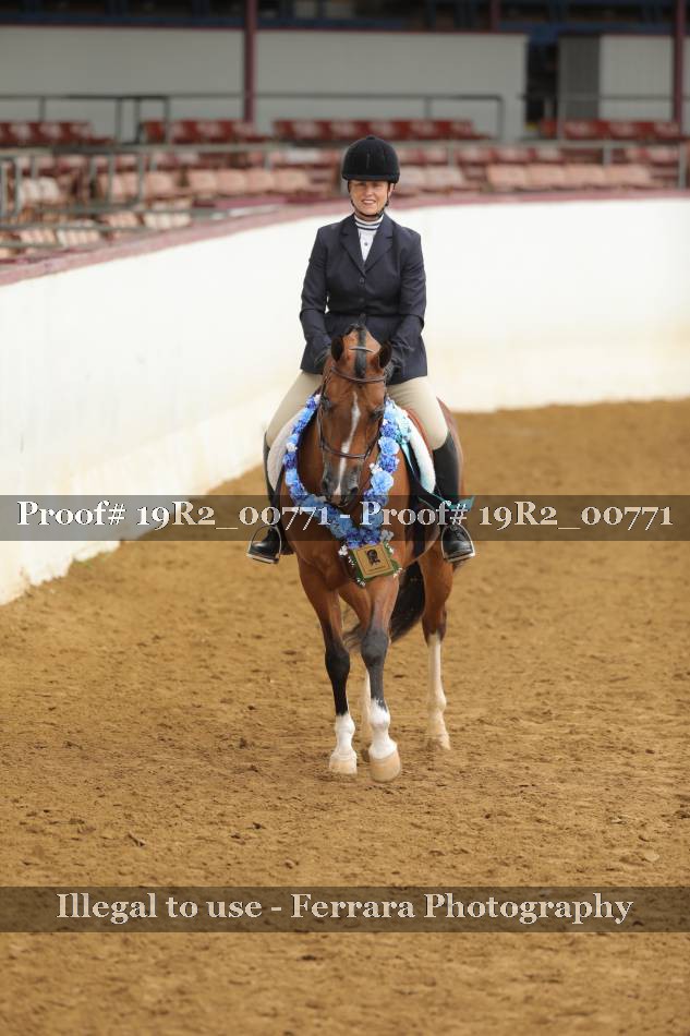 Proof 19R2_00771