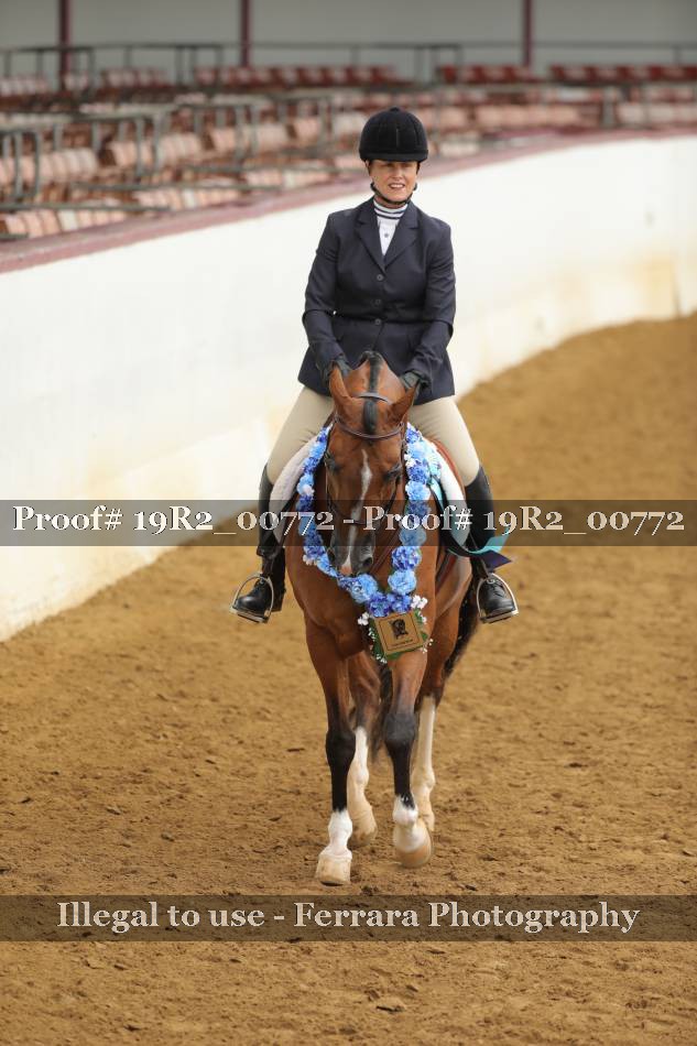 Proof 19R2_00772