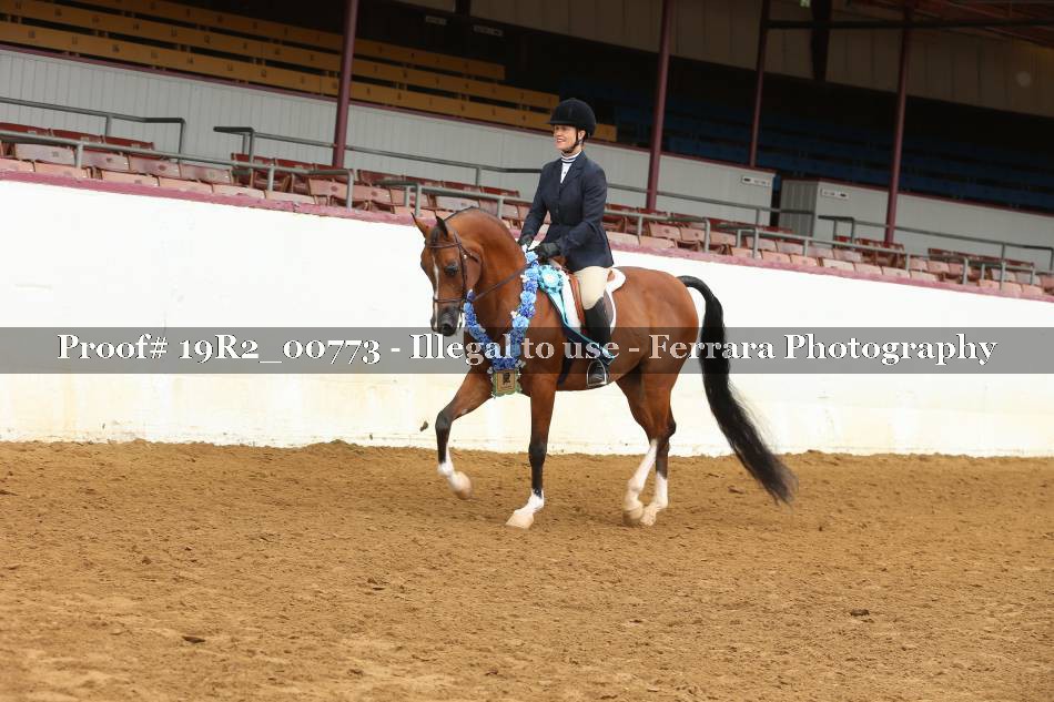 Proof 19R2_00773
