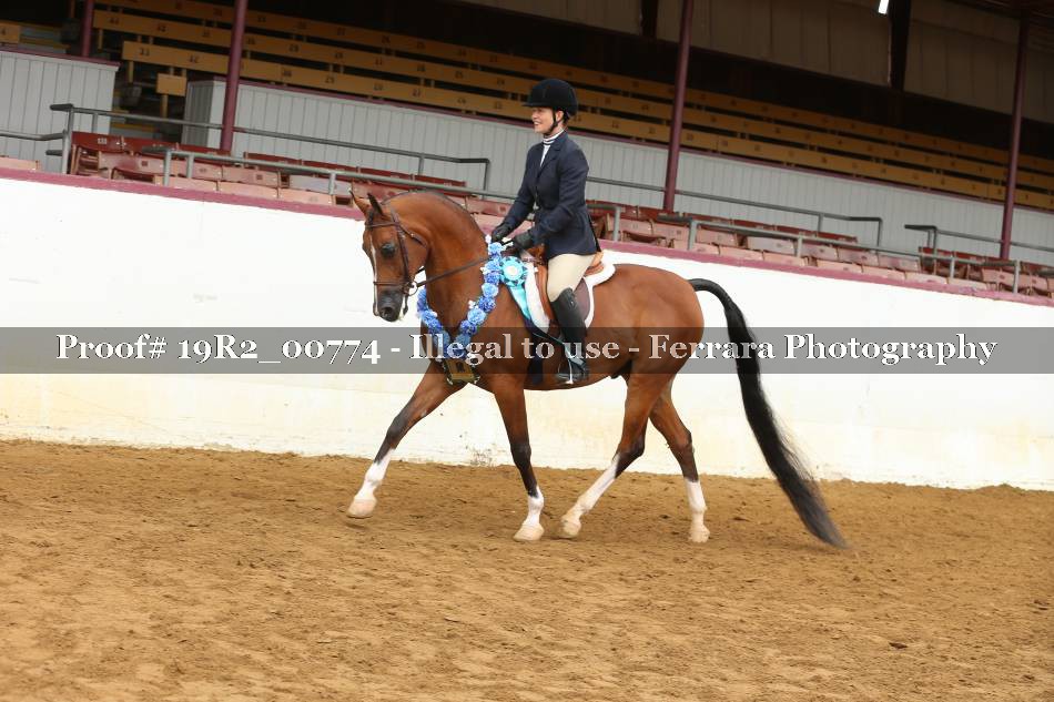 Proof 19R2_00774