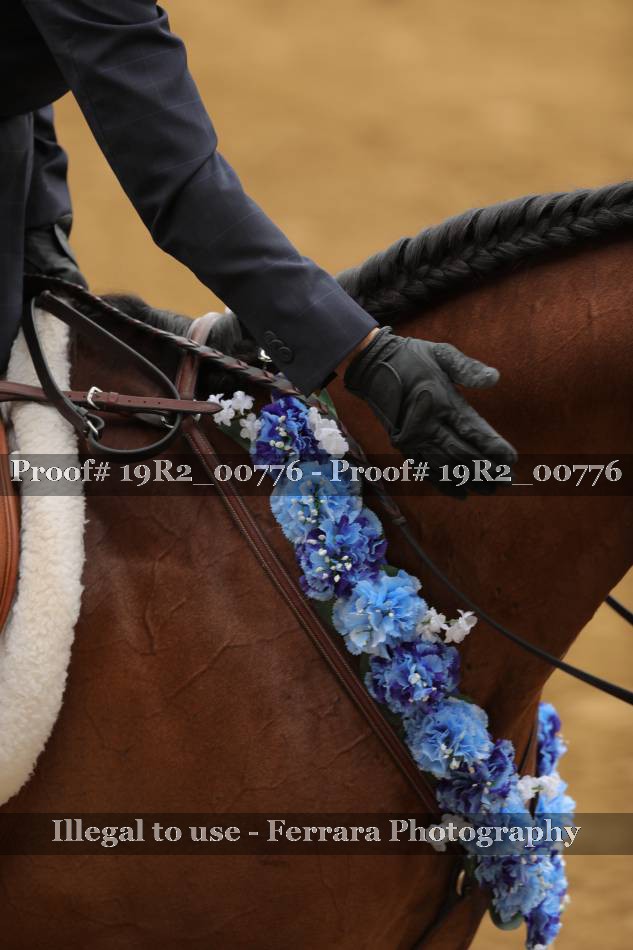 Proof 19R2_00776