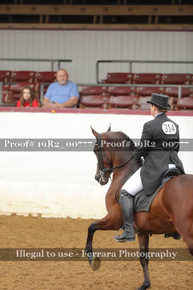 Proof 19R2_00777
