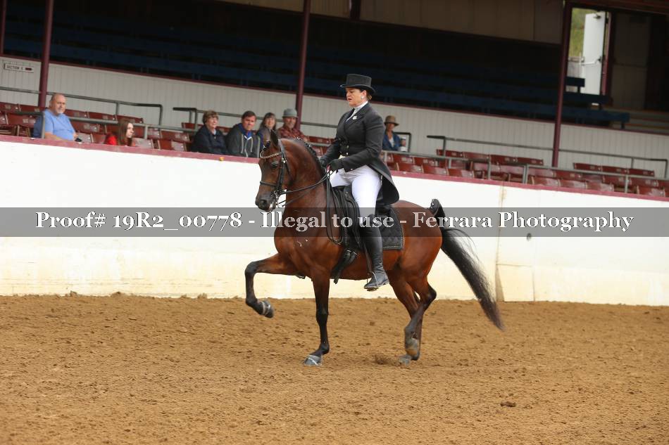 Proof 19R2_00778