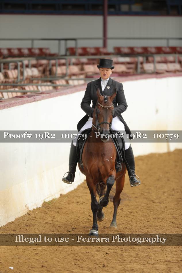 Proof 19R2_00779