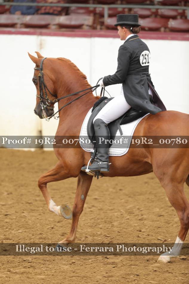 Proof 19R2_00780
