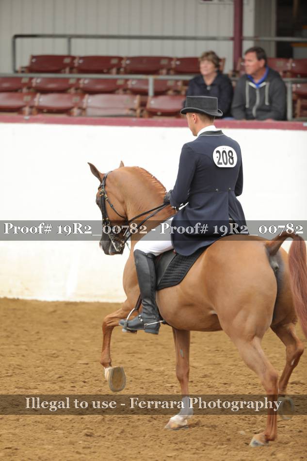 Proof 19R2_00782