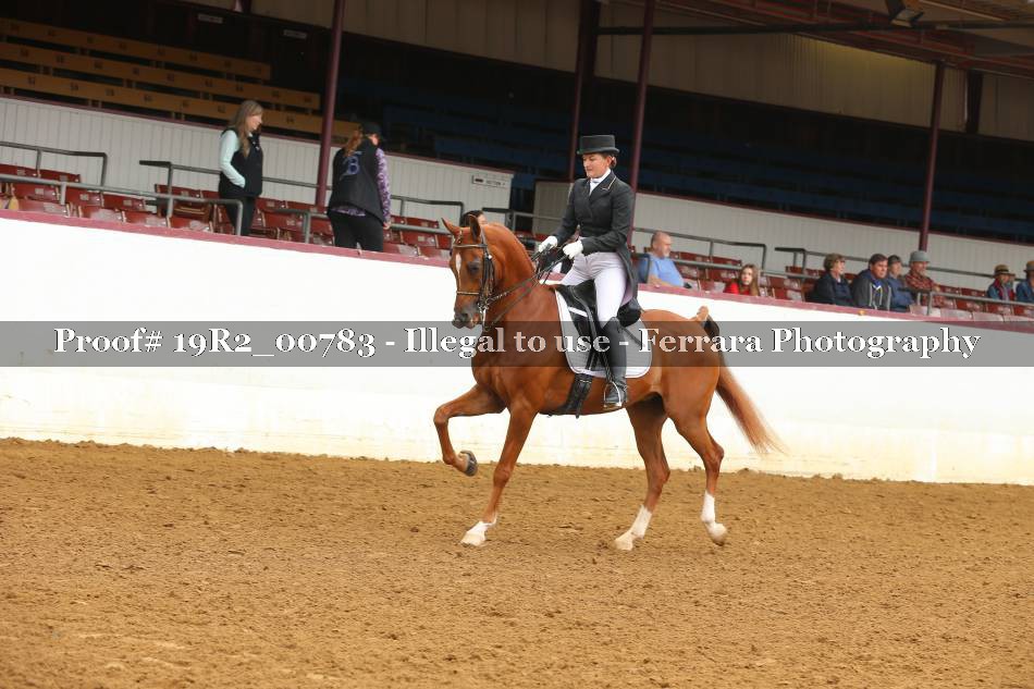 Proof 19R2_00783