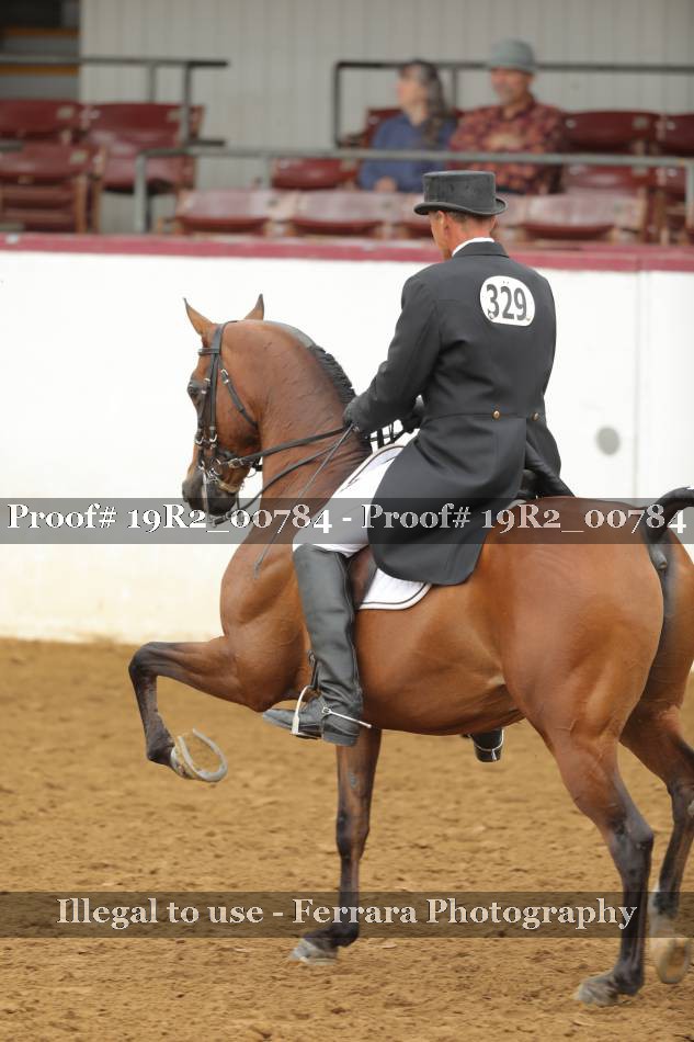 Proof 19R2_00784