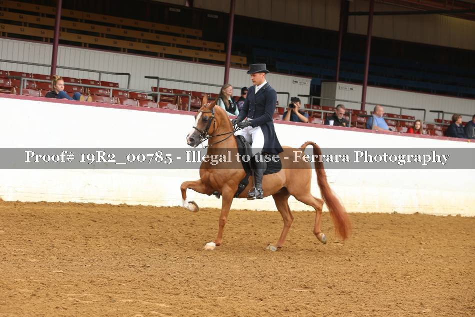 Proof 19R2_00785