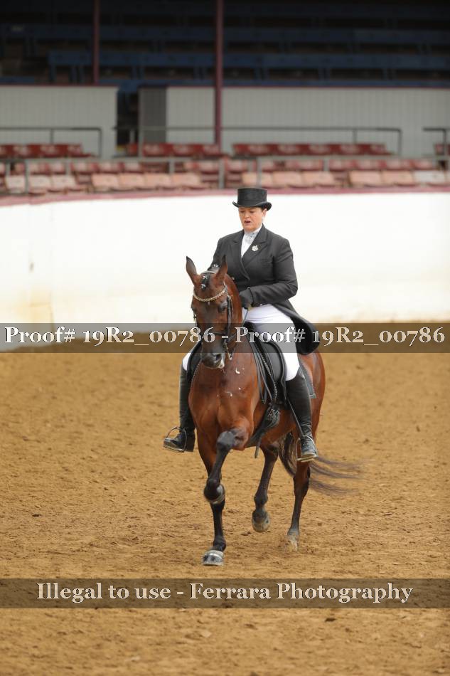 Proof 19R2_00786
