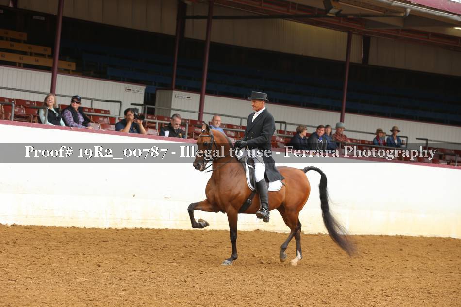 Proof 19R2_00787