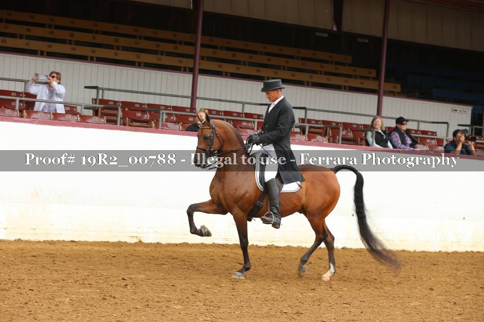 Proof 19R2_00788