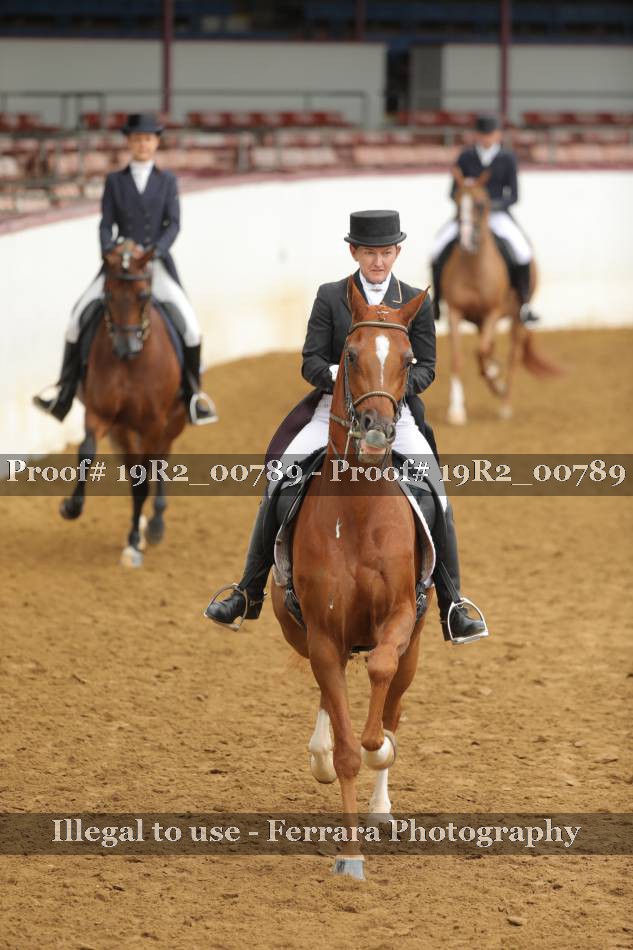 Proof 19R2_00789