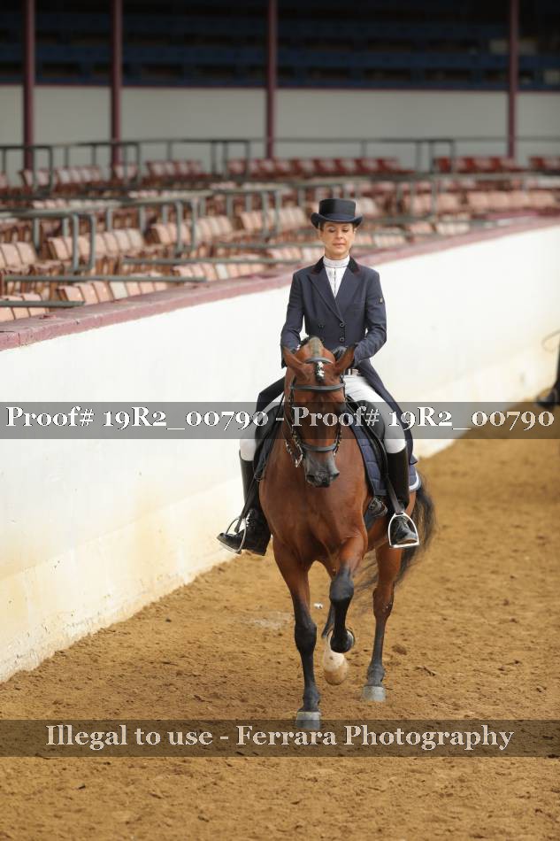 Proof 19R2_00790