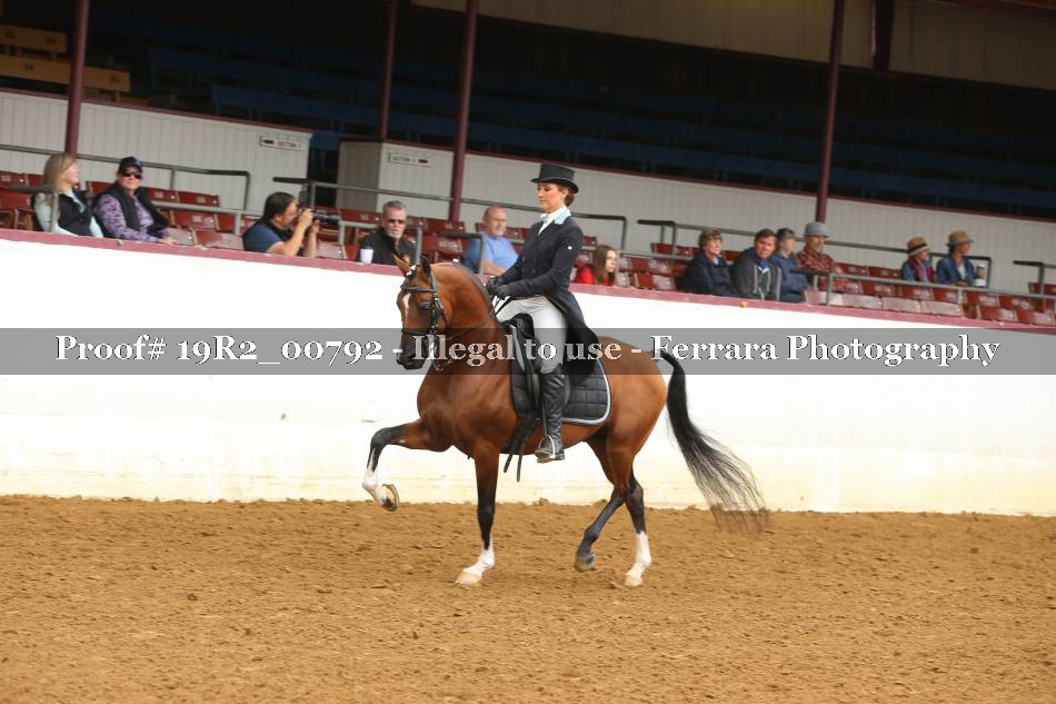 Proof 19R2_00792