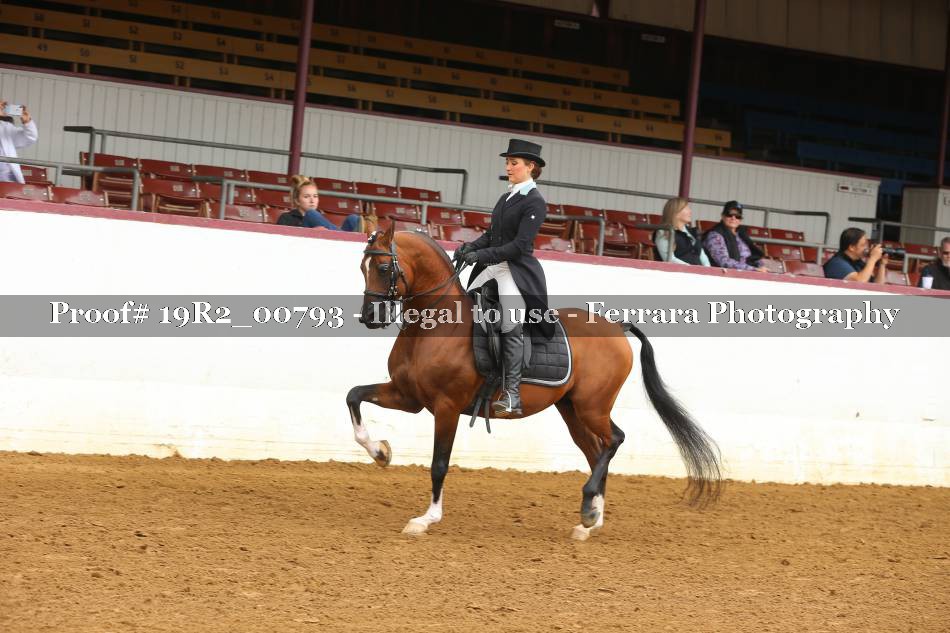 Proof 19R2_00793