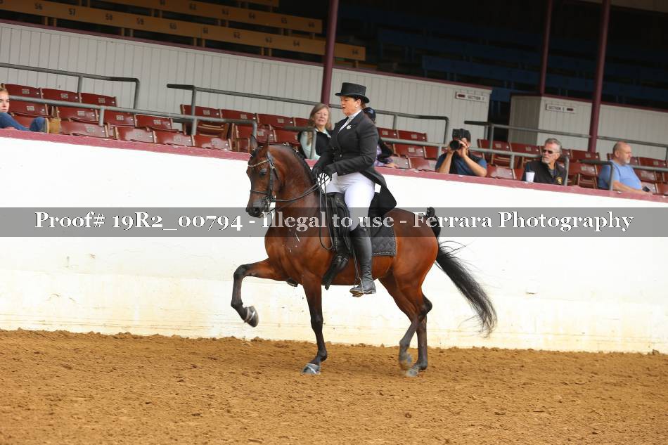 Proof 19R2_00794