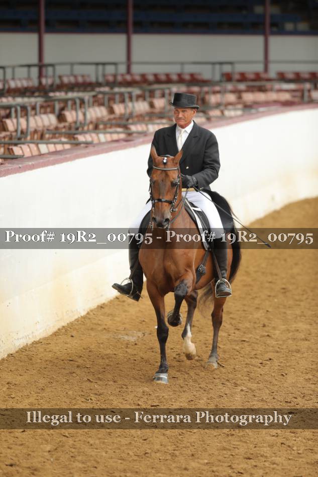 Proof 19R2_00795