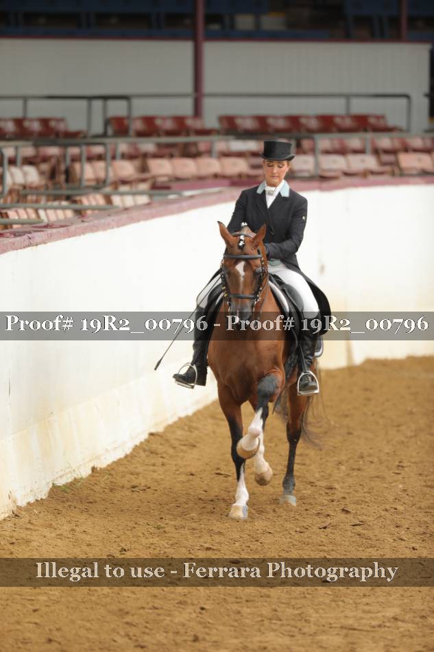 Proof 19R2_00796