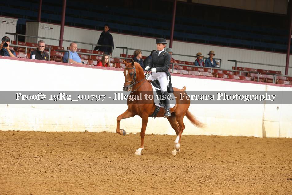 Proof 19R2_00797